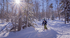 Ski the trees at Bretton Woods